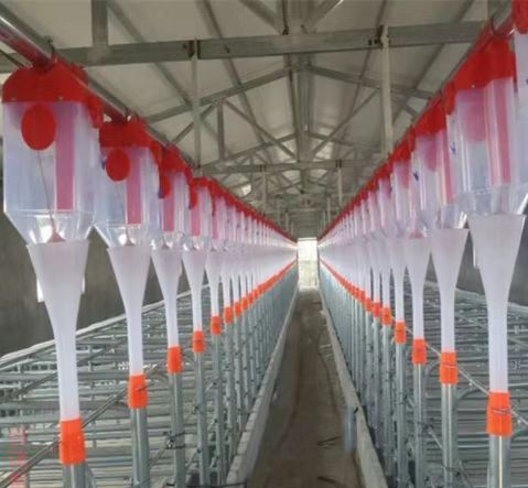 养殖场自动下料器猪用定量桶定量喂料定量器